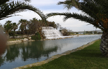 ETANG DU GREC-herault