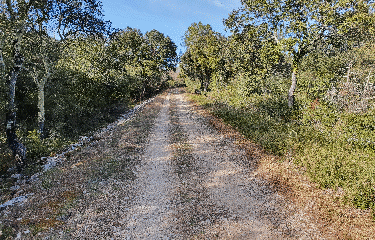 CARRIERES DE BEAULIEU (2)-herault
