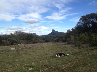 LA POURCARESSE-herault