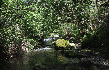 LAVAL-DE-NIZE-herault