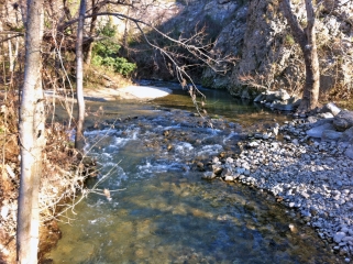 GRABELS - MOSSON (2)-herault