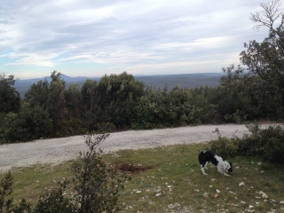 LA BOISSIERE - PUECH BARTELIE-herault