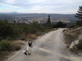 LA BOISSIERE - PUECH BARTELIE-herault