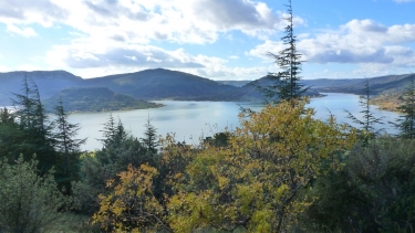 PLATEAU DE L AUVERNE-herault