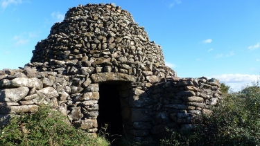 PLATEAU DE L AUVERNE-herault