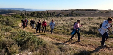 CESSERAS-MINERVOIS - LE CAUSSE DE LA COQUILLE-herault