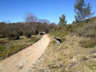 CHEMIN DE L AQUEDUC - VERSION LONGUE-herault