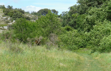AUTOUR DE ST JEAN DE VEDAS-herault