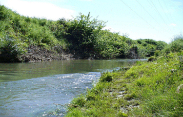 AUTOUR DE ST JEAN DE VEDAS-herault
