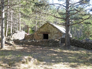 PUECH-HAUT AU DEPART DE LARCHO-herault