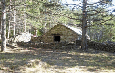 PUECH-HAUT AU DEPART DE LARCHO-herault