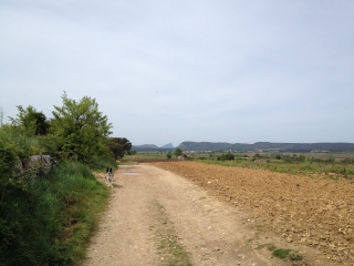 ENTRE CAMPAGNE ET GARRIGUES-herault