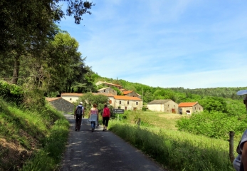 AUTOUR DE SAINT-ANDRE - HAMEAU DE CASSAGNOLES-herault