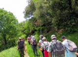 AUTOUR DE SAINT-ANDRE - HAMEAU DE CASSAGNOLES-herault