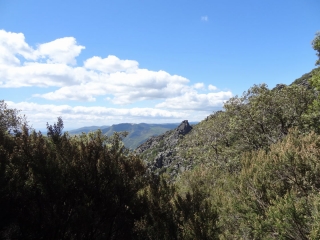 PISTE DU RUISSEAU - ST MARTIN - BITERROIS - GARDES - ST MARTIN-herault