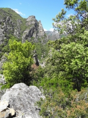 PISTE DU RUISSEAU - ST MARTIN - BITERROIS - GARDES - ST MARTIN-herault