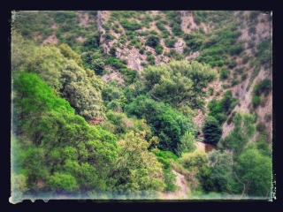 EN PASSANT PAR SAINT-JULIEN-DES-MEULIERES - HAUT-MINERVOIS