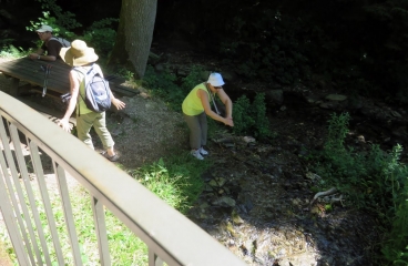 LES SOURCES DE LA CESSE A FERRALS-LES-MONTAGNES-herault