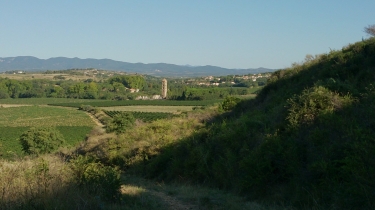 PUISSALICON - LES PUECHS-herault