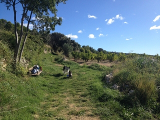 MISE EN JAMBES A MONTPEYROUX-herault