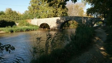 VIAS - ENTRE CAMPAGNES ET CANAL DU MIDI-herault