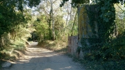 VIAS - ENTRE CAMPAGNES ET CANAL DU MIDI-herault