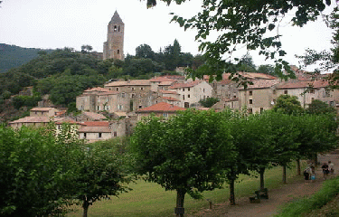 BOIS DE BACOULETTE-herault
