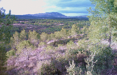 SOURCE DU LEZ-herault