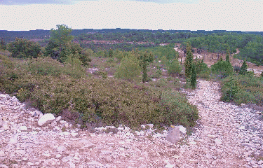 SOURCE DU LEZ-herault