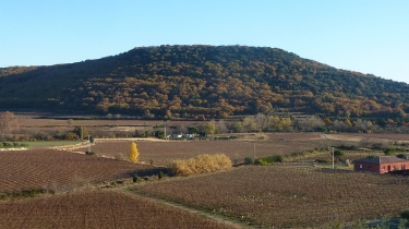 FONTES - VIGNES ET VOLCANS - LE CERESSOU-herault