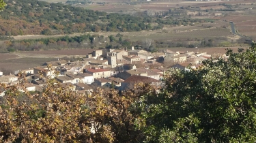 FONTES - VIGNES ET VOLCANS - LE CERESSOU-herault