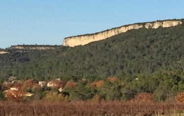 CLARET - FORET DE PINS ET DE CHENES-herault