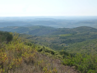 SAINT-NAZAIRE-DE-LADAREZ - LES PECHS-herault