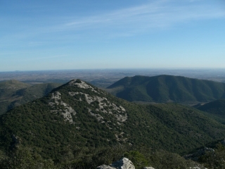 SAINT-NAZAIRE-DE-LADAREZ - LES PECHS-herault