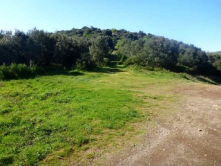 LAMALOU-LES-BAINS - LA PIERRE PLANTEE-herault