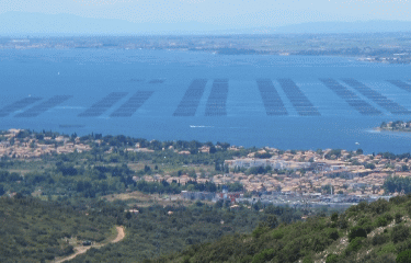 ST-FELIX-DE-MONCEAU - MASSIF DE LA GARDIOLE-herault
