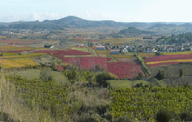 TRESSAN - LE POUGET-herault