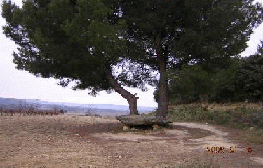 TRESSAN - LE POUGET-herault