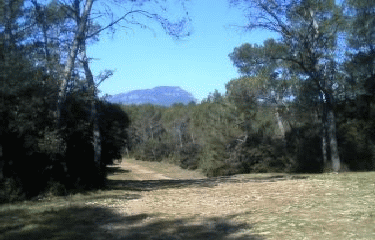 AUTOUR DES AVANTS - COMMUNE DE SAINT MATHIEU DE TREVIERS-herault