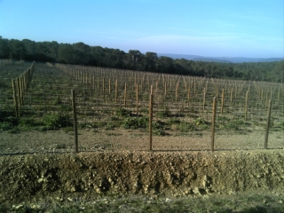 AUTOUR DES AVANTS - COMMUNE DE SAINT MATHIEU DE TREVIERS-herault