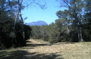 AUTOUR DES AVANTS - COMMUNE DE SAINT MATHIEU DE TREVIERS-herault