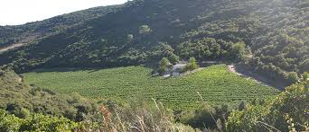 AIGUES-VIVES -herault