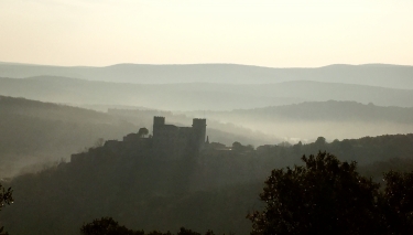 BRISSAC - BOIS DE LONG-herault