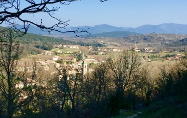 BRISSAC - BOIS DE LONG-herault