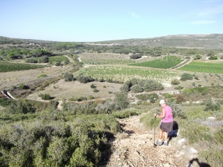 AUTOUR D ALIGNAN-DU-VENT-herault