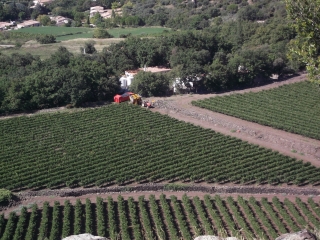 LES HAUTS DE LIEURAN-CABRIERES-herault