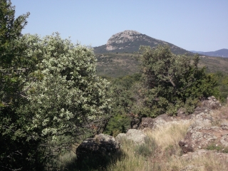 LES HAUTS DE LIEURAN-CABRIERES-herault