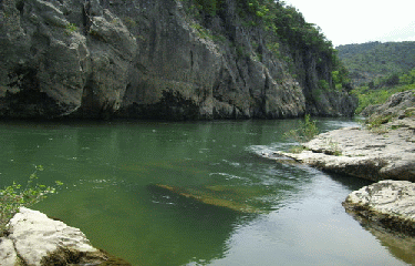 LE ROC DE LA VIGNE-herault