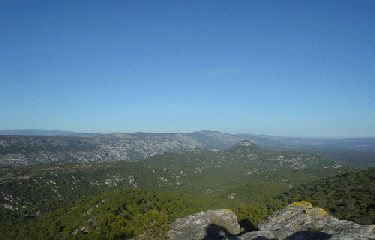LE ROC DE LA VIGNE-herault