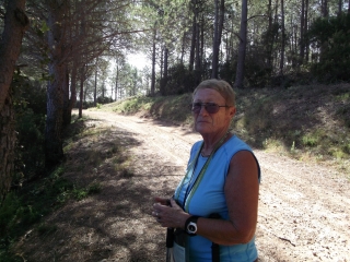 NEFFIES - GARRIGUES ET FORETS-herault